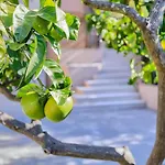 Maruge By Guide Pula