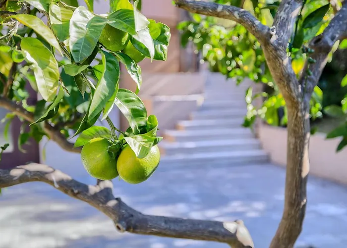 Maruge By Guide Пула